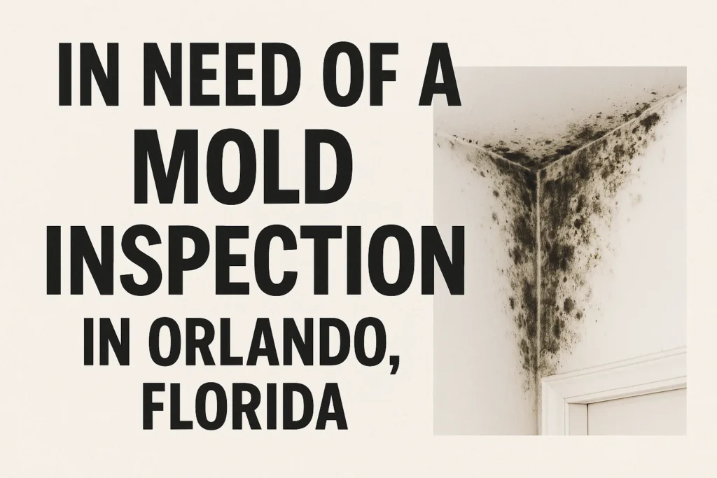 How Much Is a Mold Inspection in Florida? 2 assets task 01k0yndkehe3g9q3c4pe9hczw3 1753375820 img 1